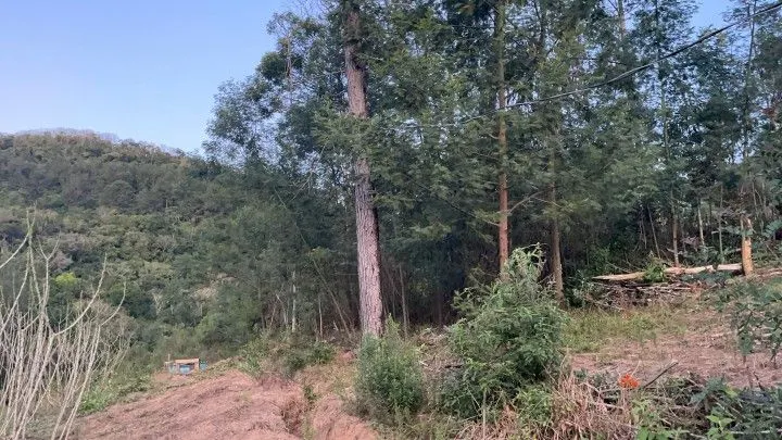 Chácara à venda de 1 ha em Rolante, RS, Brasil