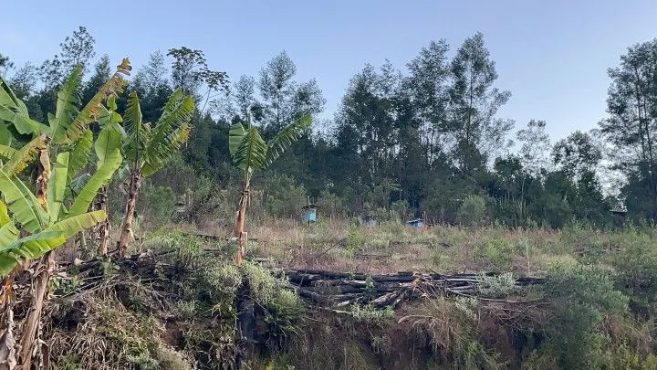 Chácara à venda de 1 ha em Rolante, RS, Brasil