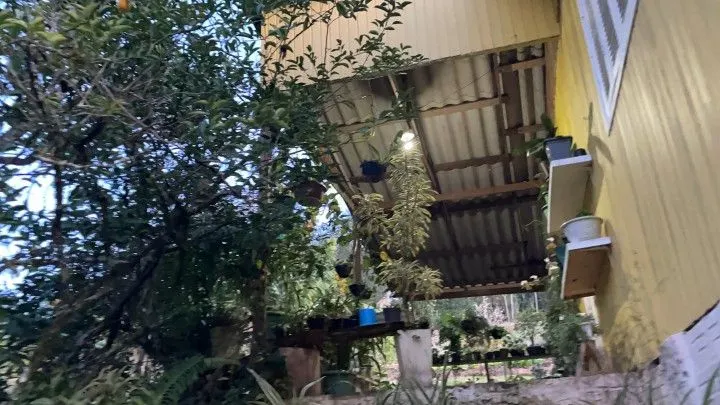 Chácara à venda de 1 ha em Rolante, RS, Brasil