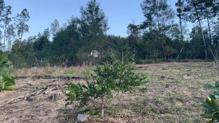 Chácara à venda de 1 ha em Rolante, RS, Brasil