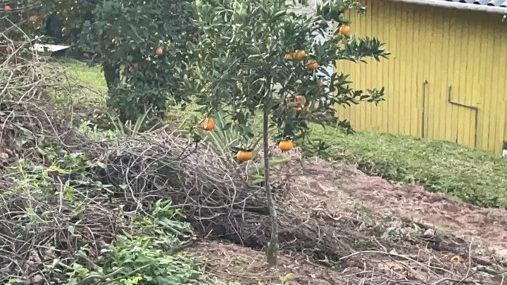 Chácara à venda de 1 ha em Rolante, RS, Brasil