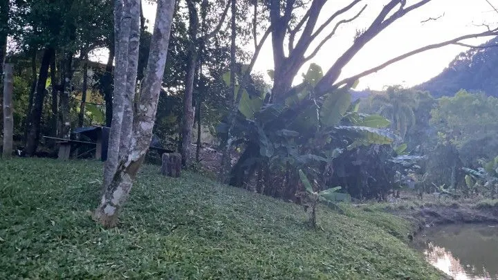 Chácara à venda de 1 ha em Rolante, RS, Brasil