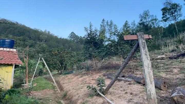 Chácara à venda de 1 ha em Rolante, RS, Brasil
