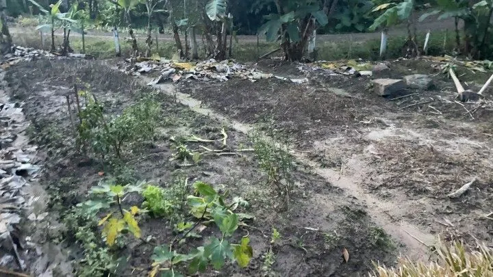 Chácara à venda de 1 ha em Rolante, RS, Brasil