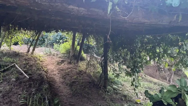 Chácara à venda de 1 ha em Rolante, RS, Brasil