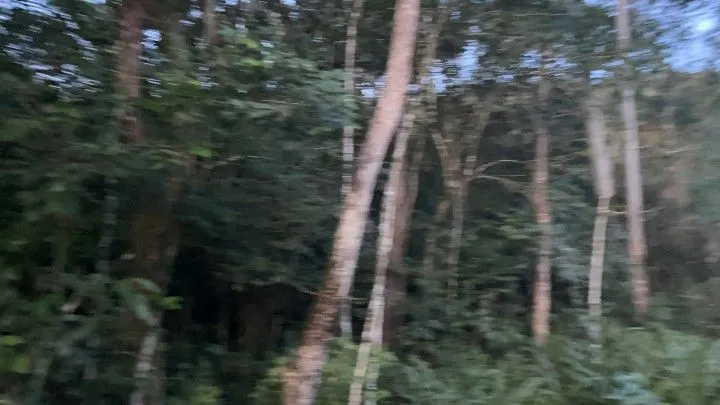 Chácara à venda de 1 ha em Rolante, RS, Brasil