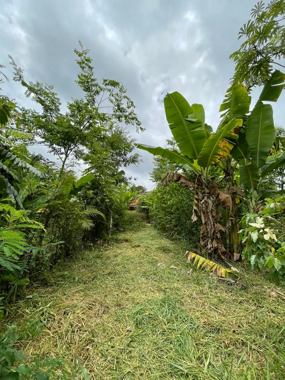 Sítio à venda de 3 ha em Campo Limpo Paulista, SP, Brasil