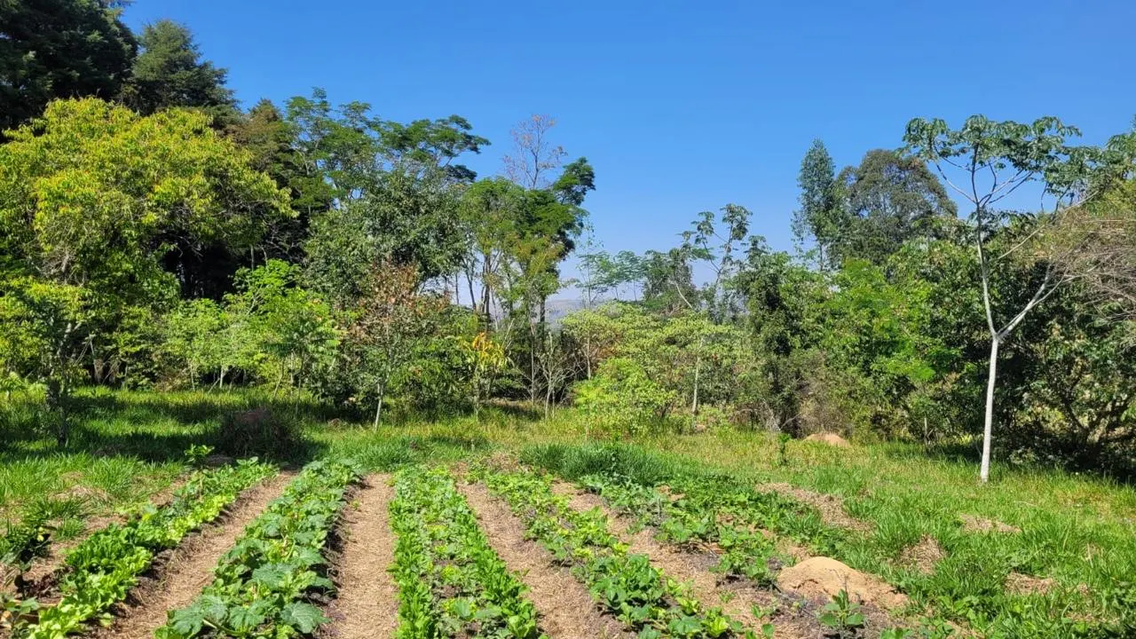 Sítio à venda de 3 ha em Campo Limpo Paulista, SP, Brasil