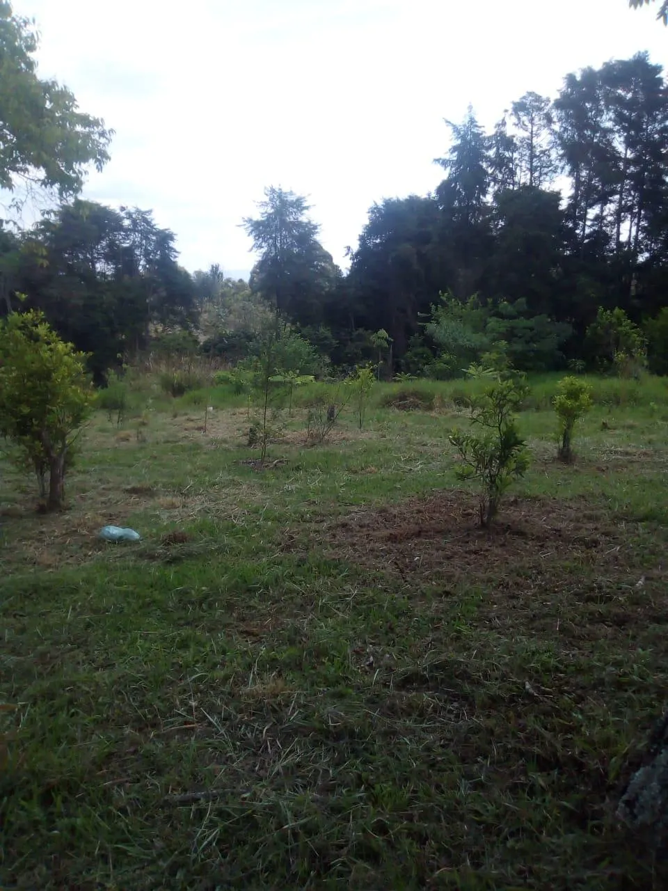 Sítio à venda de 3 ha em Campo Limpo Paulista, SP, Brasil