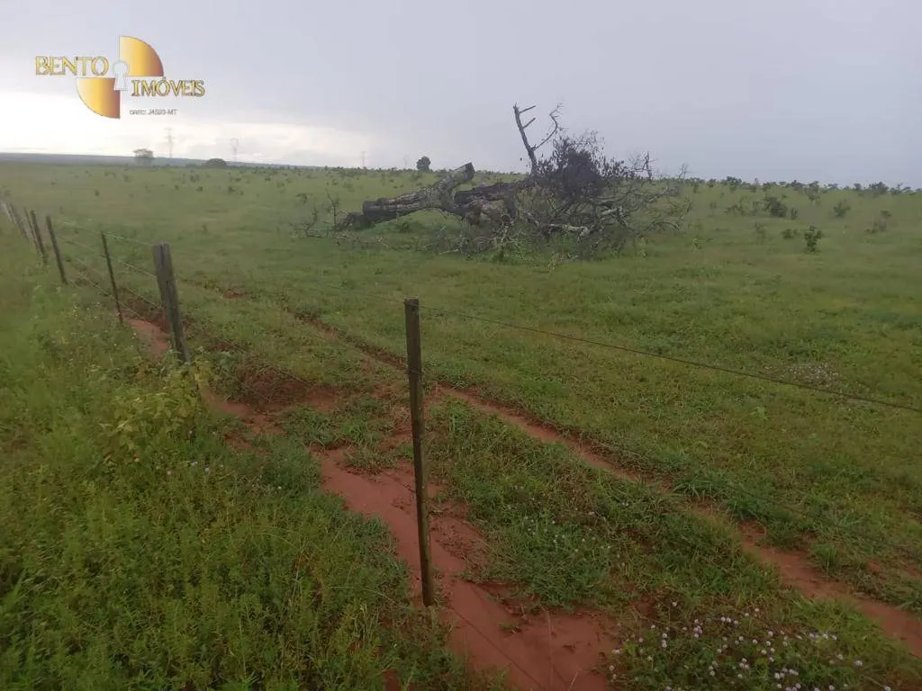 Fazenda à venda de 4.650 ha em Primavera do Leste, MT, Brasil