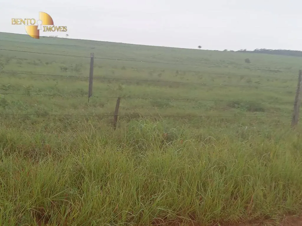 Fazenda à venda de 4.650 ha em Primavera do Leste, MT, Brasil