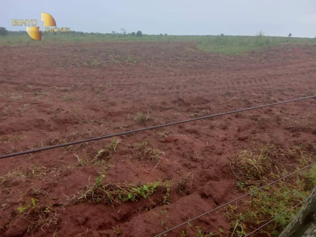 Fazenda à venda de 4.650 ha em Primavera do Leste, MT, Brasil
