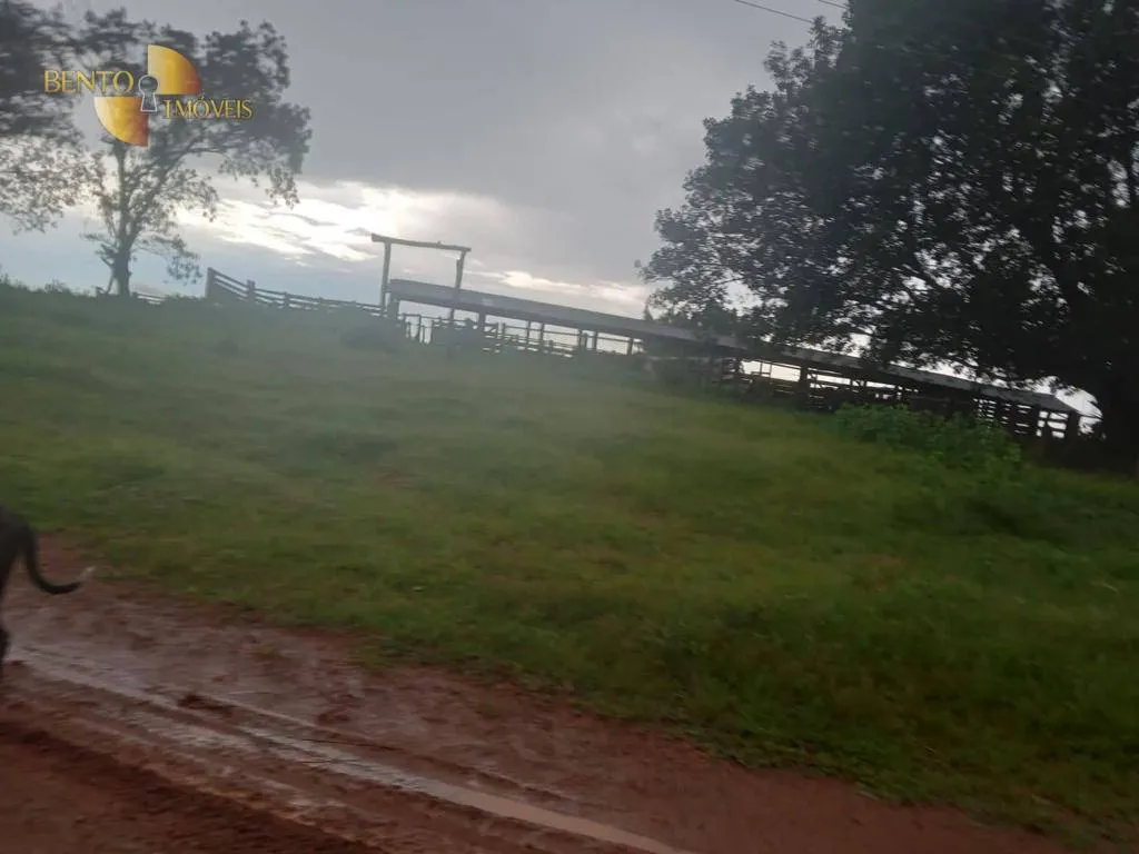 Fazenda à venda de 4.650 ha em Primavera do Leste, MT, Brasil