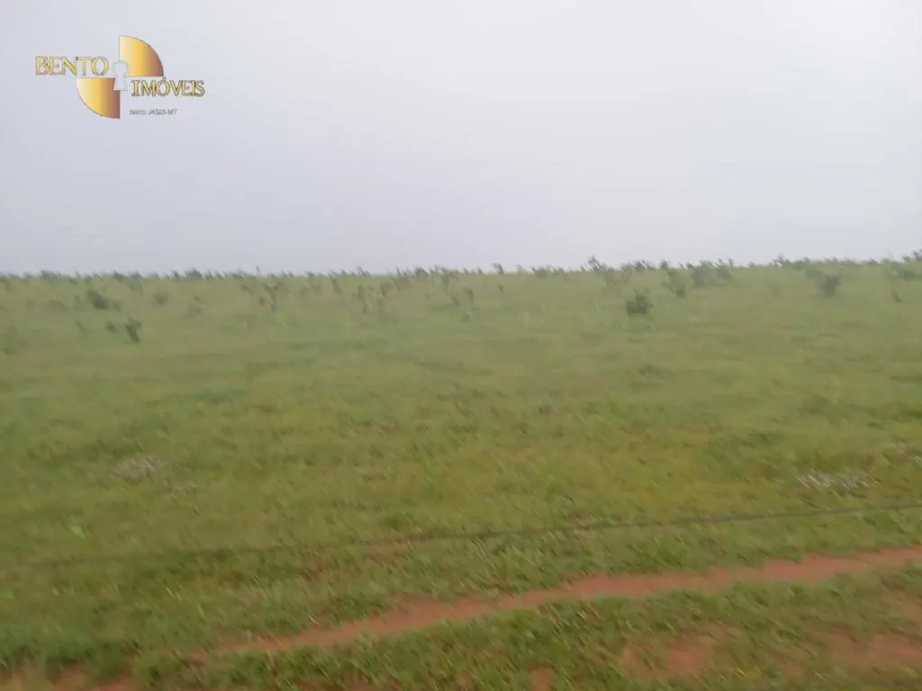 Fazenda à venda de 4.650 ha em Primavera do Leste, MT, Brasil