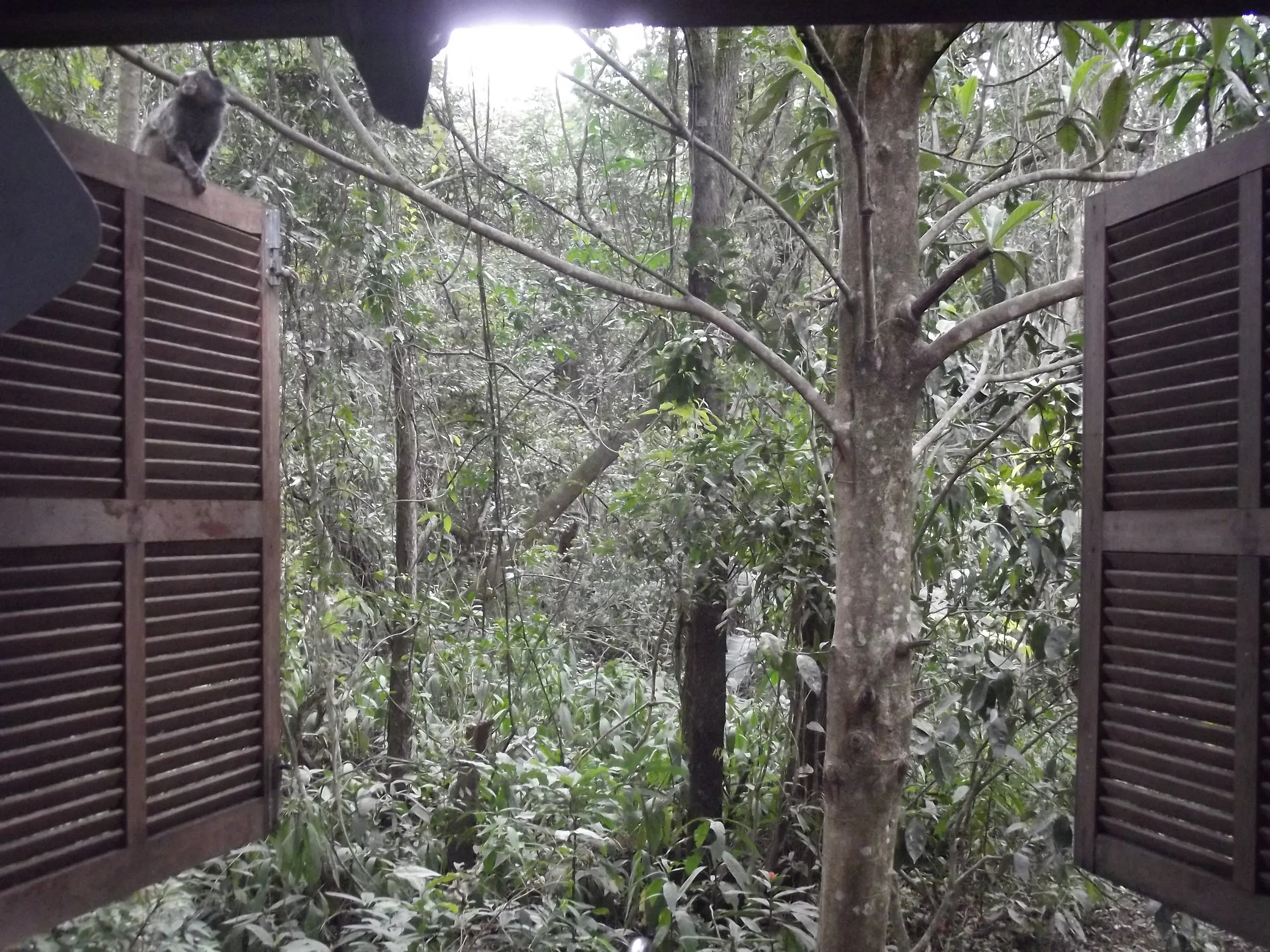 Chácara à venda de 5.847 m² em São Thomé das Letras, MG, Brasil