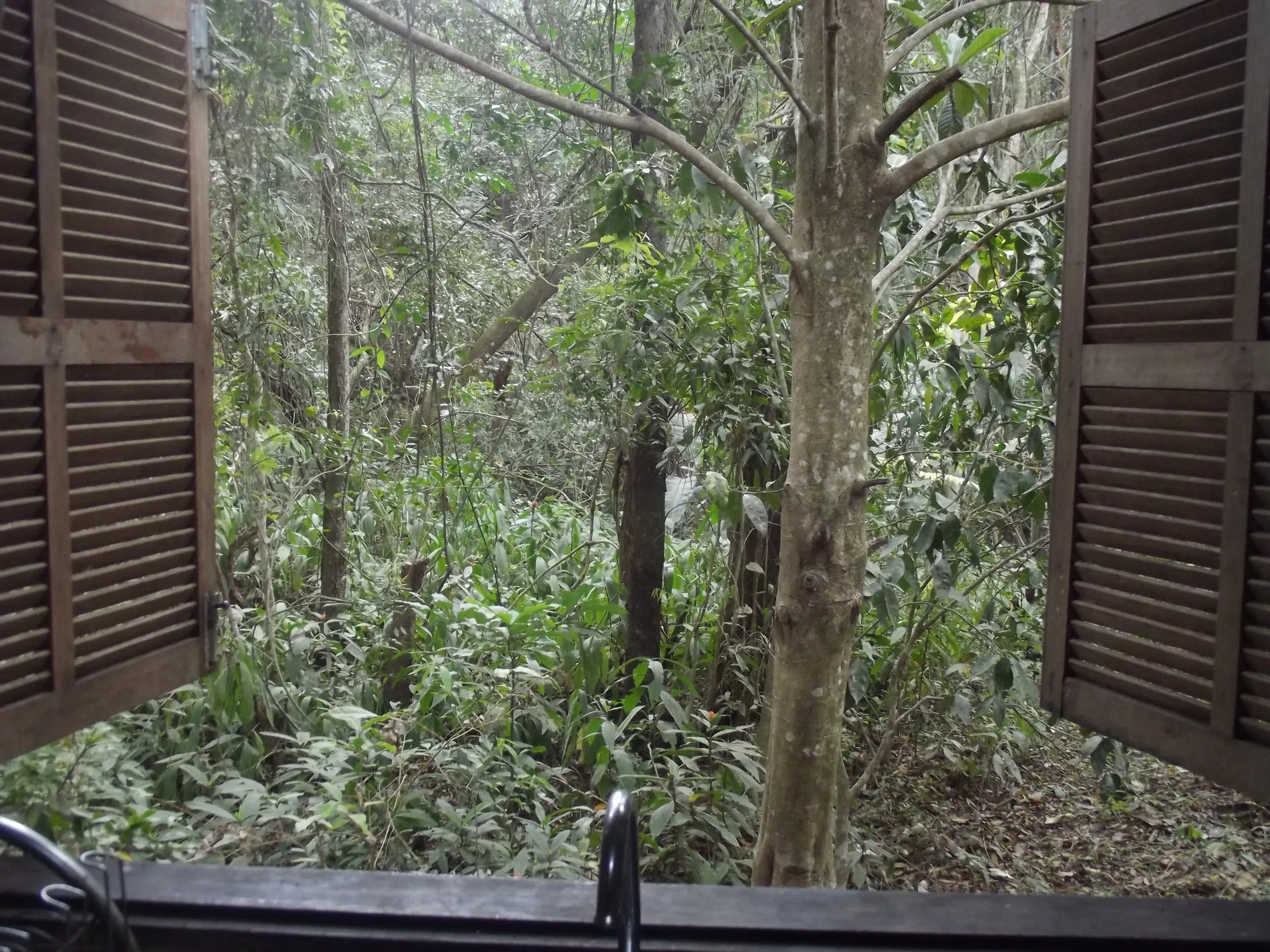 Chácara à venda de 5.847 m² em São Thomé das Letras, MG, Brasil