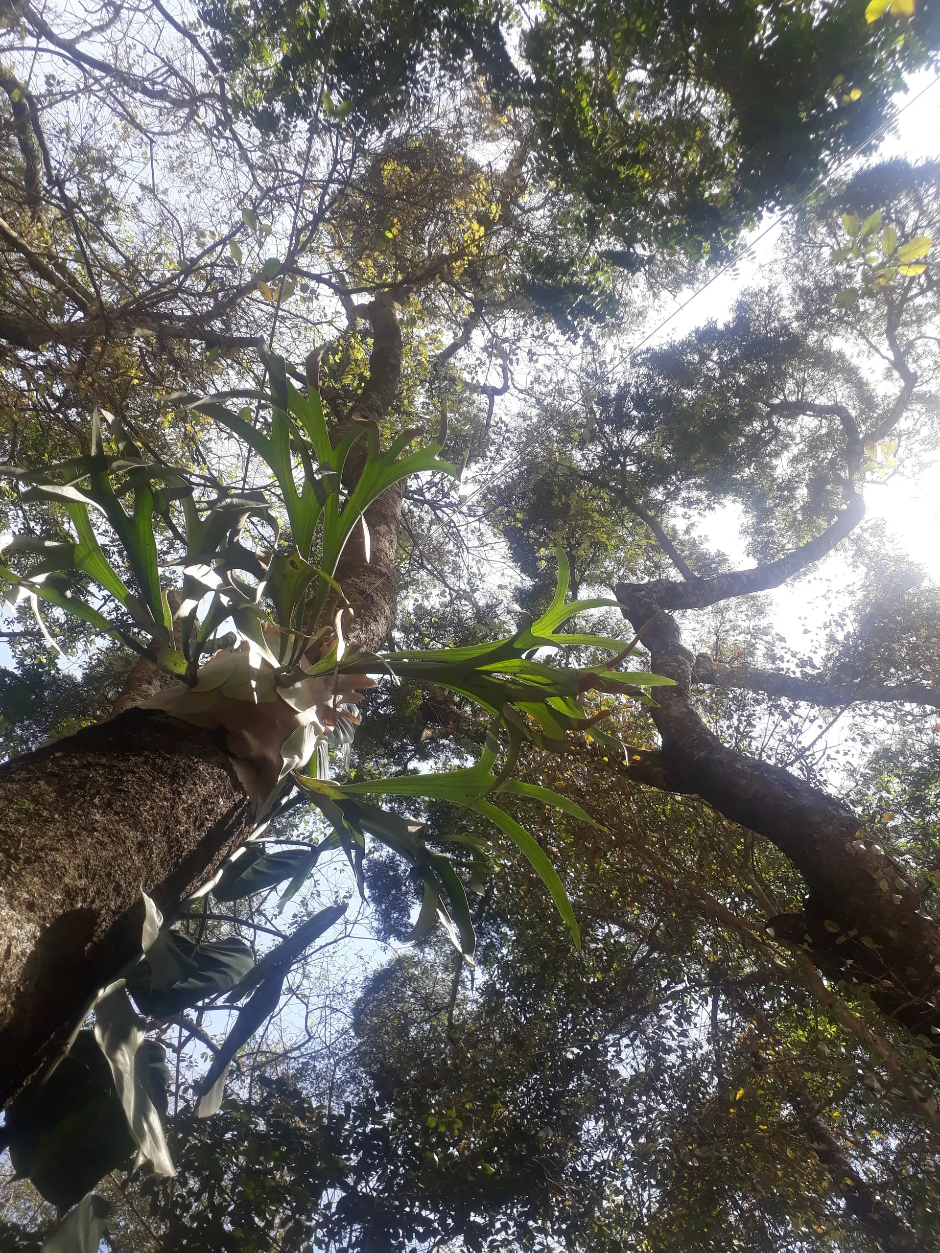 Chácara à venda de 5.847 m² em São Thomé das Letras, MG, Brasil