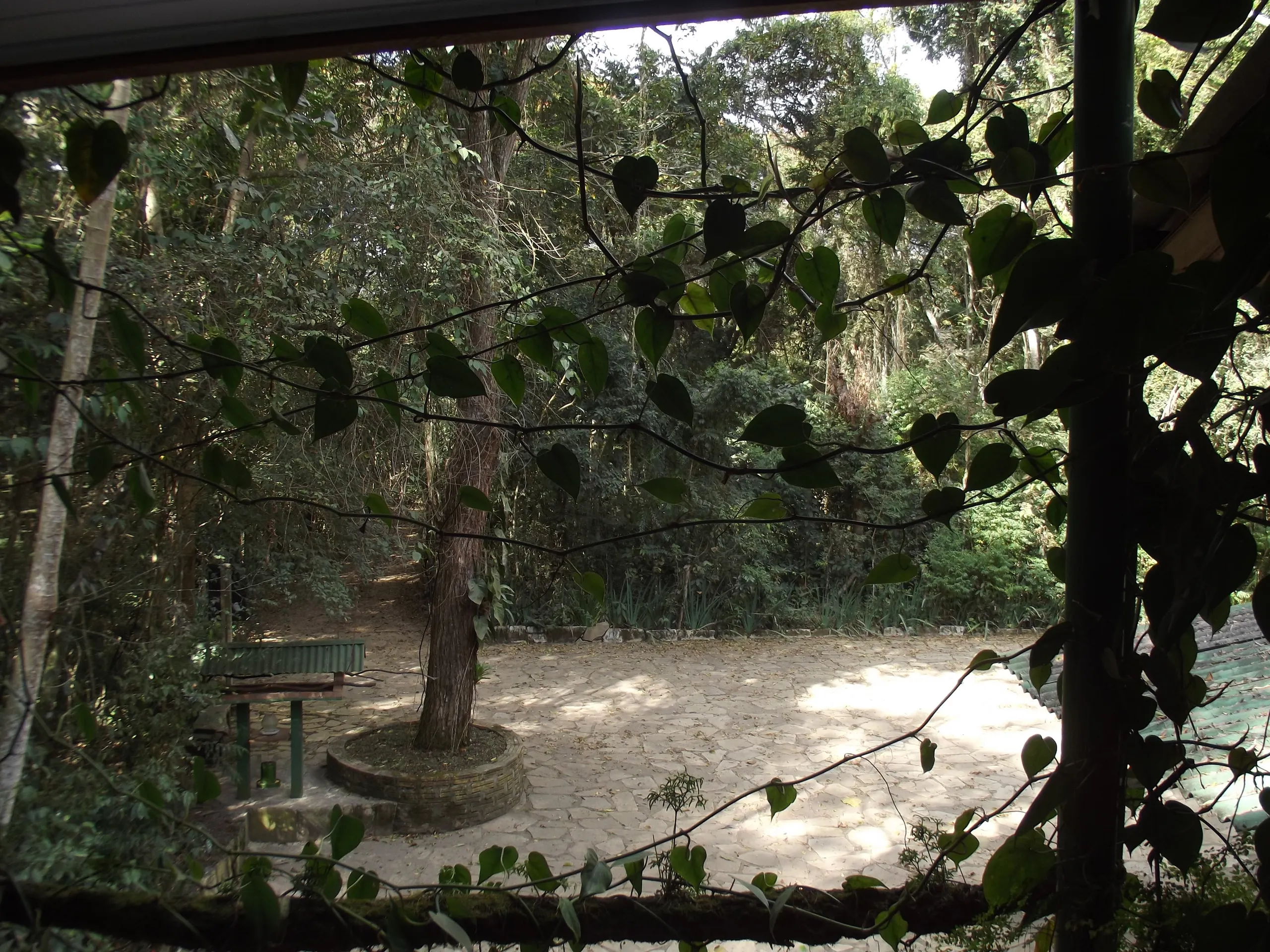 Chácara à venda de 5.847 m² em São Thomé das Letras, MG, Brasil