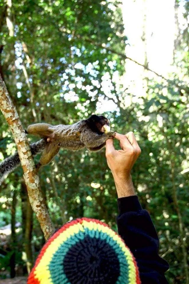 Chácara à venda de 5.847 m² em São Thomé das Letras, MG, Brasil