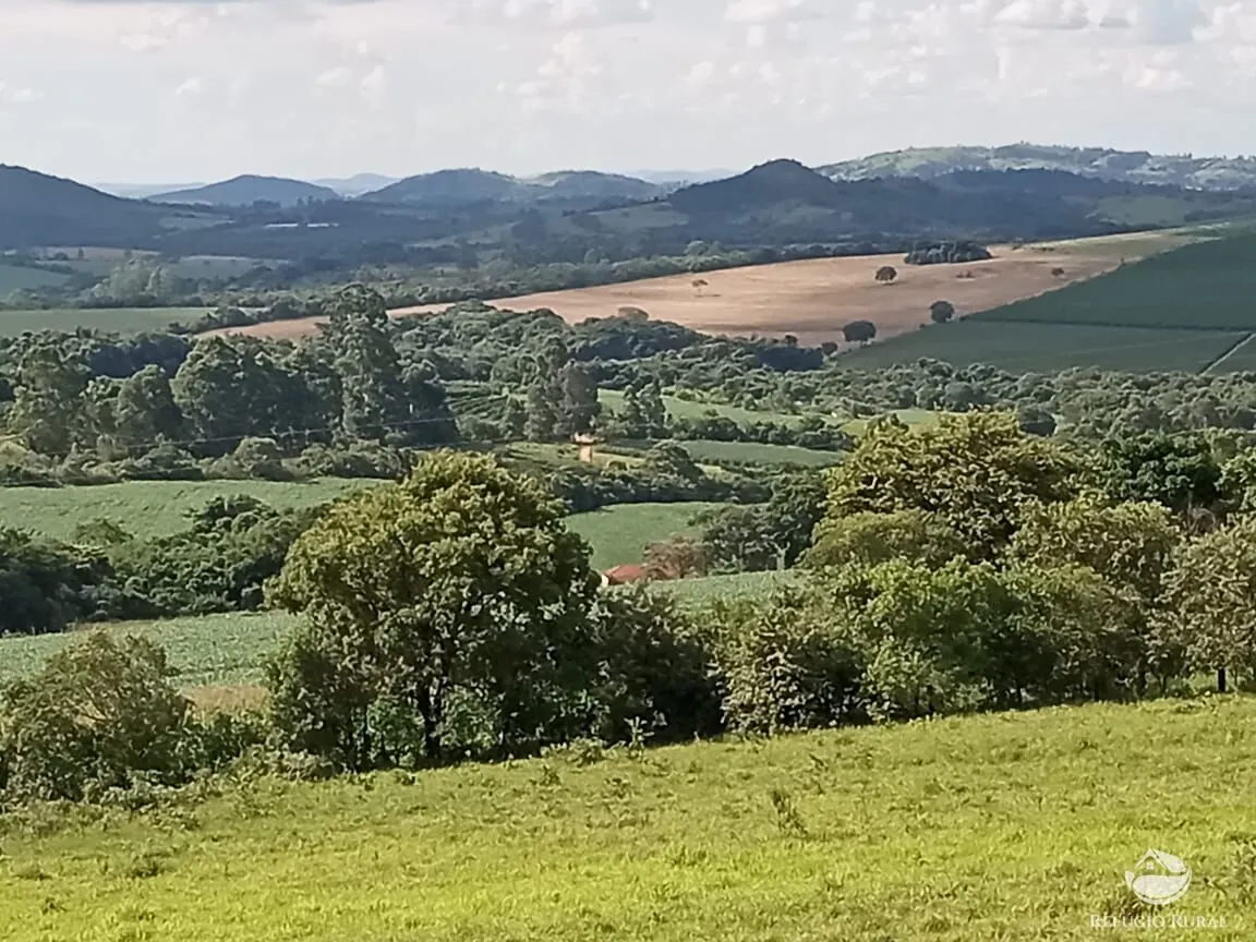 Small farm for sale of 32 acres in Lavras, MG, Brazil
