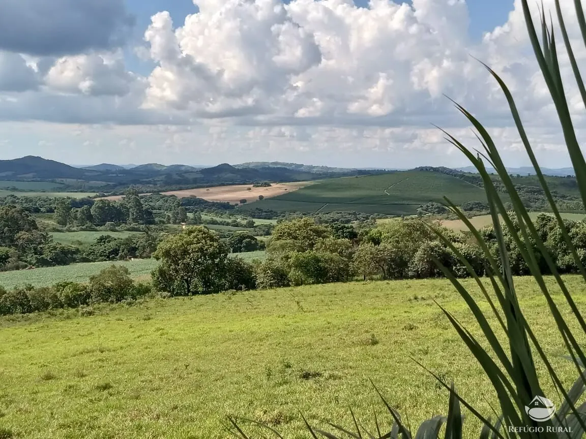 Small farm for sale of 32 acres in Lavras, MG, Brazil