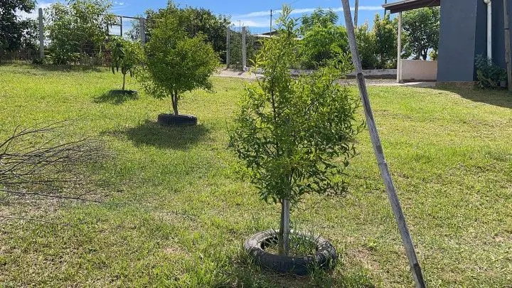 Chácara à venda de 4.800 m² em Santo Antônio da Patrulha, RS, Brasil