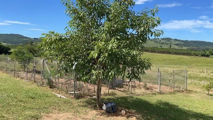 Chácara à venda de 4.800 m² em Santo Antônio da Patrulha, RS, Brasil