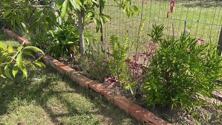 Chácara à venda de 4.800 m² em Santo Antônio da Patrulha, RS, Brasil