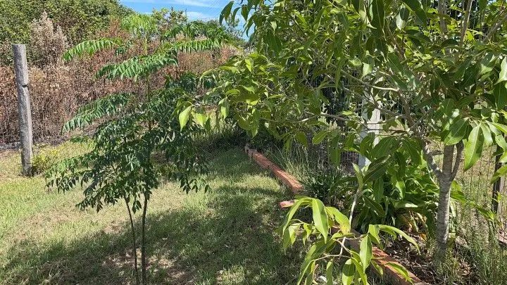 Chácara à venda de 4.800 m² em Santo Antônio da Patrulha, RS, Brasil