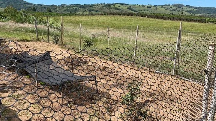 Chácara à venda de 4.800 m² em Santo Antônio da Patrulha, RS, Brasil