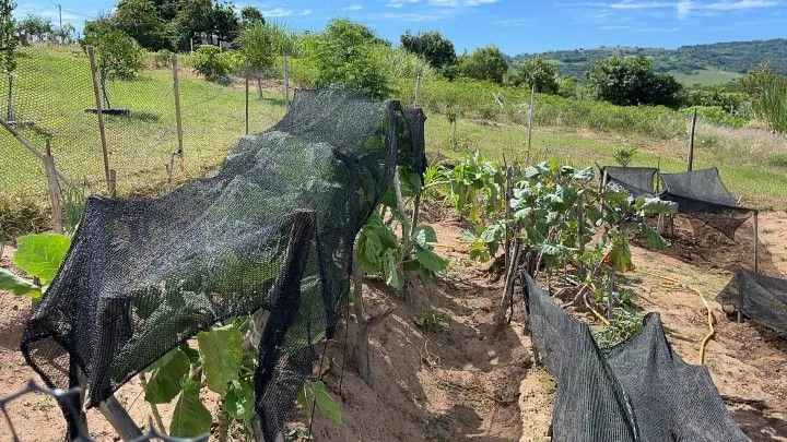 Chácara à venda de 4.800 m² em Santo Antônio da Patrulha, RS, Brasil