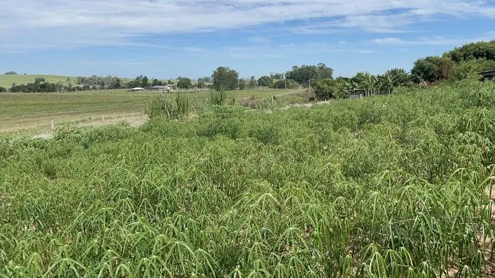 Chácara à venda de 4.800 m² em Santo Antônio da Patrulha, RS, Brasil