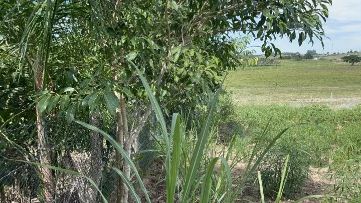 Chácara à venda de 4.800 m² em Santo Antônio da Patrulha, RS, Brasil