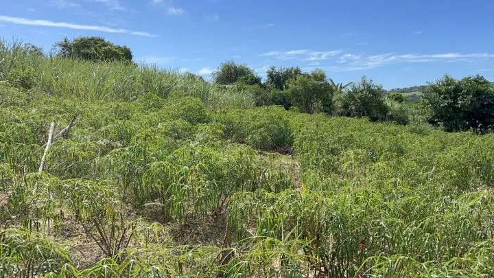 Chácara à venda de 4.800 m² em Santo Antônio da Patrulha, RS, Brasil