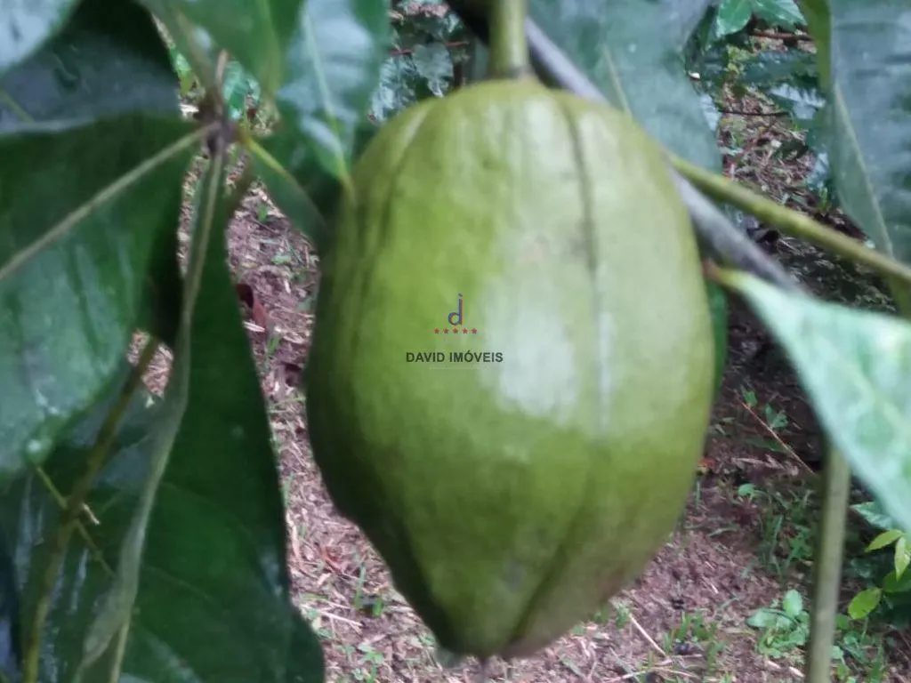 Sítio à venda de 10 ha em Natividade da Serra, SP, Brasil