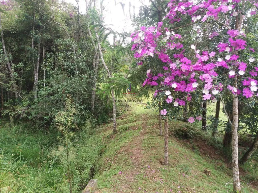 Sítio à venda de 10 ha em Natividade da Serra, SP, Brasil