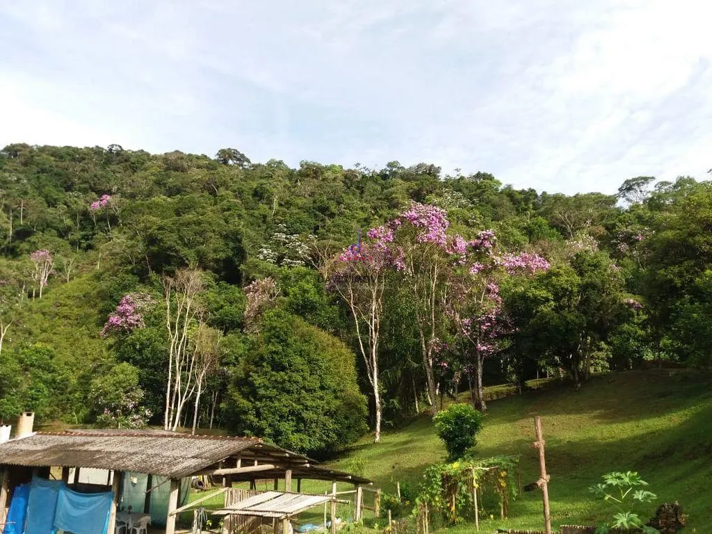 Sítio à venda de 10 ha em Natividade da Serra, SP, Brasil
