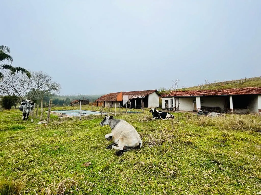 Fazenda à venda de 50 ha em Salesópolis, SP, Brasil