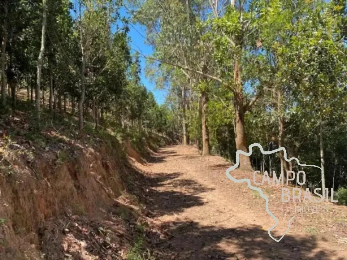 Sítio à venda de 40 ha em Silveiras, SP, Brasil