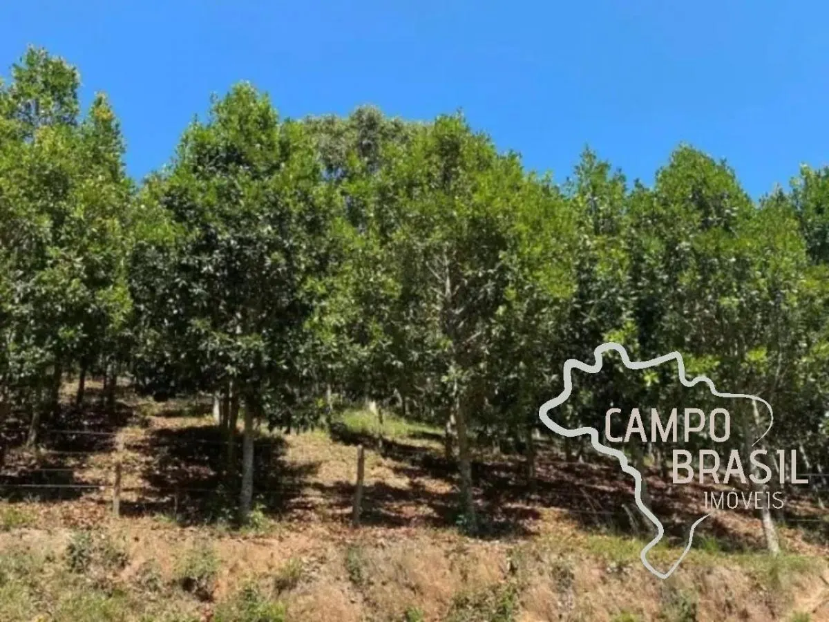 Sítio à venda de 40 ha em Silveiras, SP, Brasil