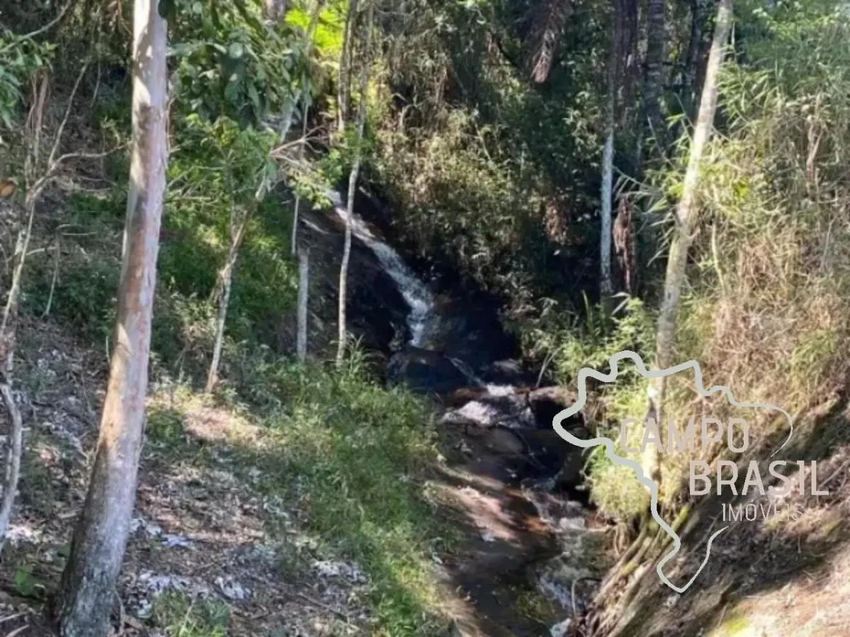 Sítio à venda de 40 ha em Silveiras, SP, Brasil