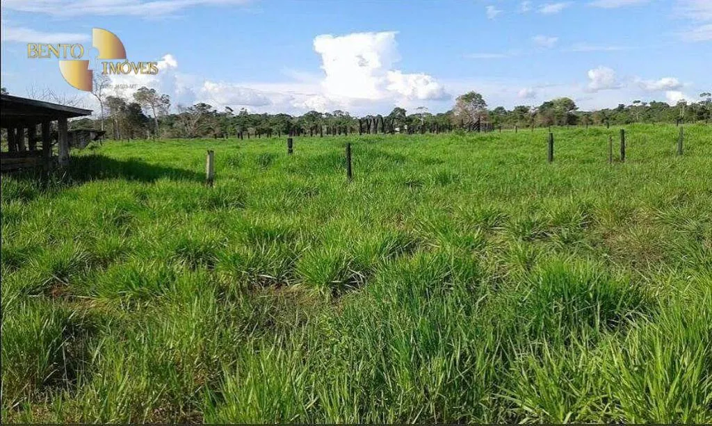 Farm for sale of 30,490 acres in Brasnorte, MT, Brazil
