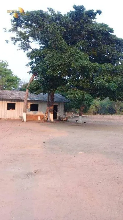 Farm for sale of 30,490 acres in Brasnorte, MT, Brazil