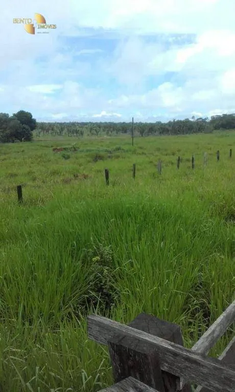 Farm for sale of 30,490 acres in Brasnorte, MT, Brazil