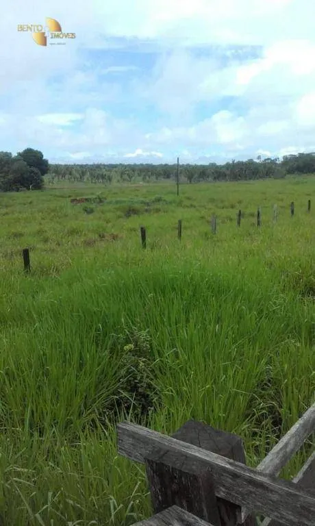 Farm for sale of 30,490 acres in Brasnorte, MT, Brazil