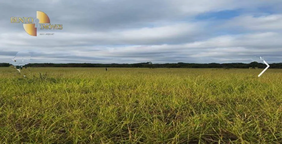 Farm for sale of 30,490 acres in Brasnorte, MT, Brazil