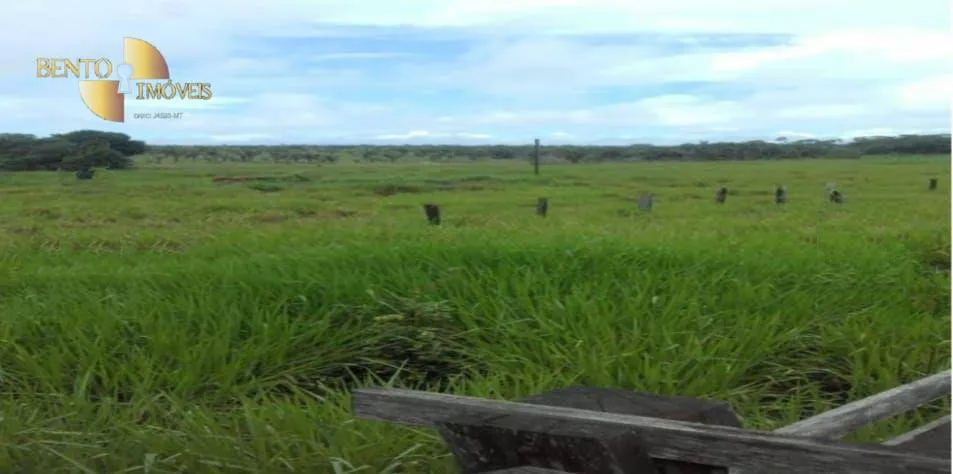 Farm for sale of 30,490 acres in Brasnorte, MT, Brazil