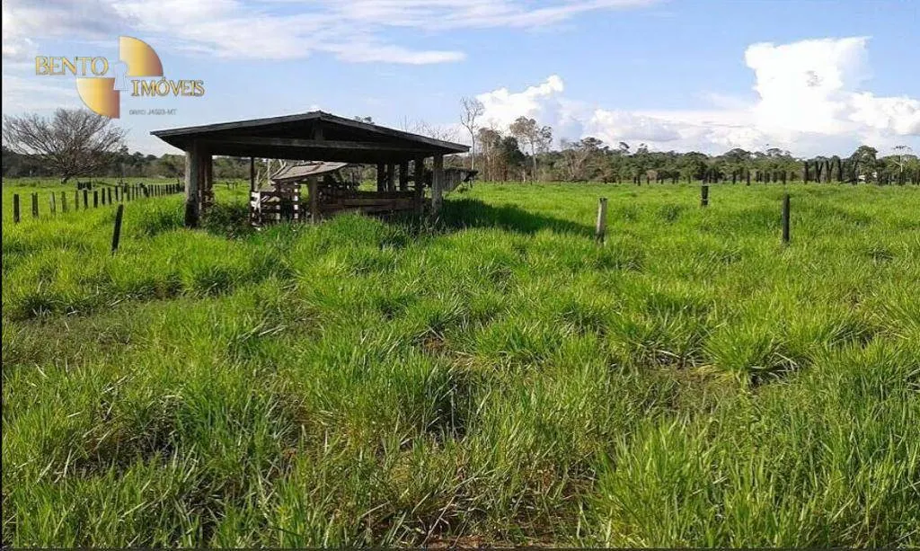 Farm for sale of 30,490 acres in Brasnorte, MT, Brazil