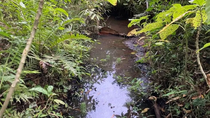 Plot for sale of 6 acres in Santo Antônio da Patrulha, RS, Brazil