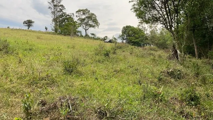 Plot for sale of 6 acres in Santo Antônio da Patrulha, RS, Brazil